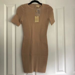 *NWT* Torn by Ronny Kobo Beige Bodycon Dress